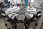 Ishida 14 Head Combination Weigher